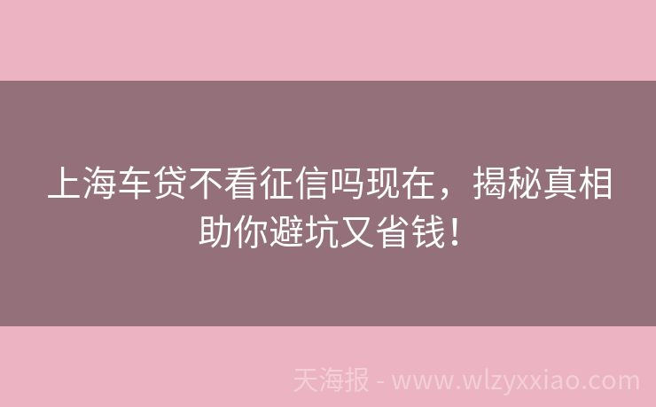 上海车贷不看征信吗现在，揭秘真相助你避坑又省钱！