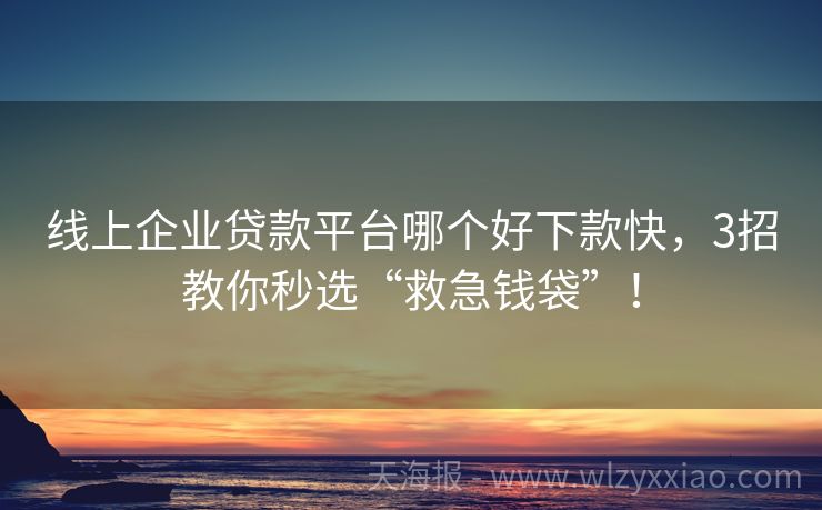 线上企业贷款平台哪个好下款快，3招教你秒选“救急钱袋”！