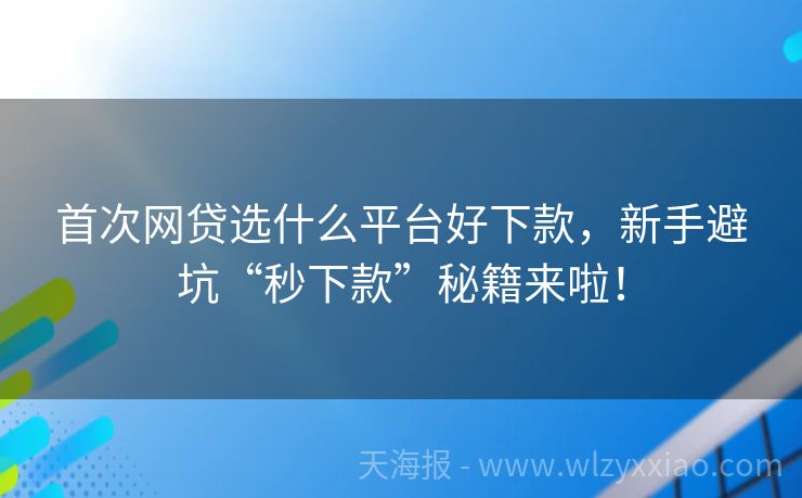 首次网贷选什么平台好下款，新手避坑“秒下款”秘籍来啦！