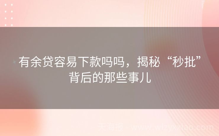 有余贷容易下款吗吗，揭秘“秒批”背后的那些事儿