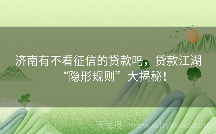 济南有不看征信的贷款吗，贷款江湖“隐形规则”大揭秘！