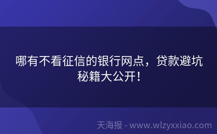 哪有不看征信的银行网点，贷款避坑秘籍大公开！