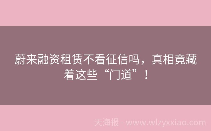 蔚来融资租赁不看征信吗，真相竟藏着这些“门道”！
