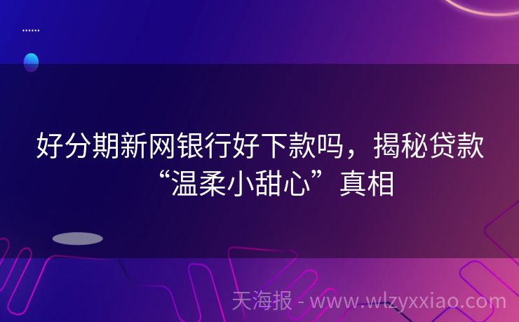 好分期新网银行好下款吗，揭秘贷款“温柔小甜心”真相