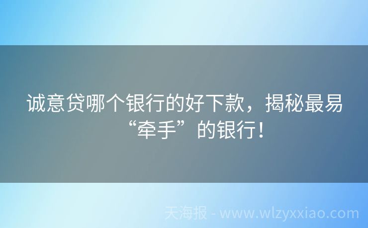 诚意贷哪个银行的好下款，揭秘最易“牵手”的银行！