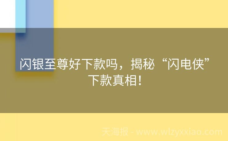 闪银至尊好下款吗，揭秘“闪电侠”下款真相！