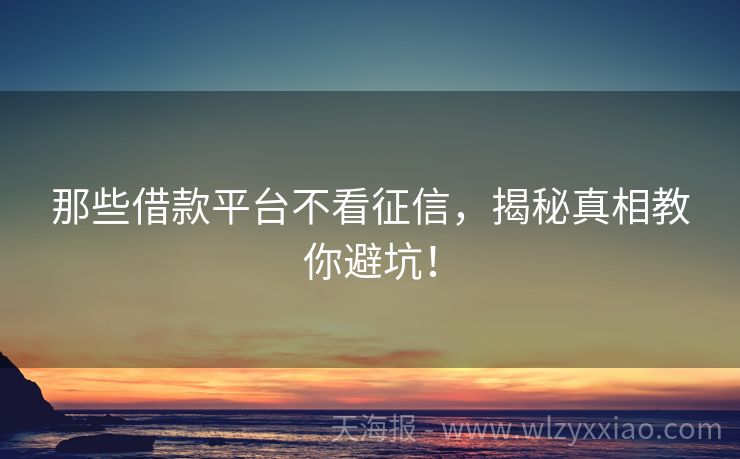那些借款平台不看征信，揭秘真相教你避坑！