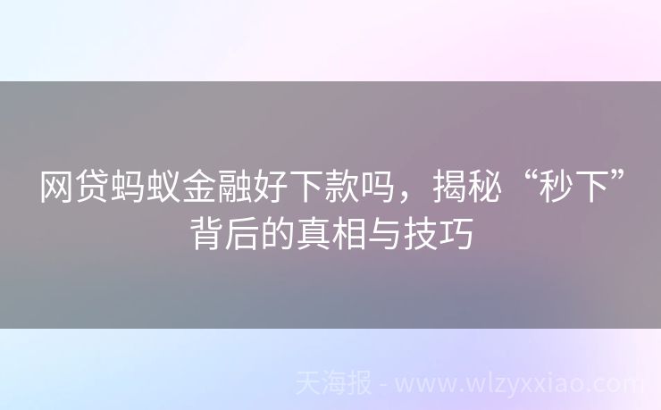 网贷蚂蚁金融好下款吗，揭秘“秒下”背后的真相与技巧