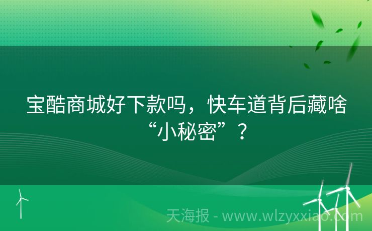 宝酷商城好下款吗，快车道背后藏啥“小秘密”？