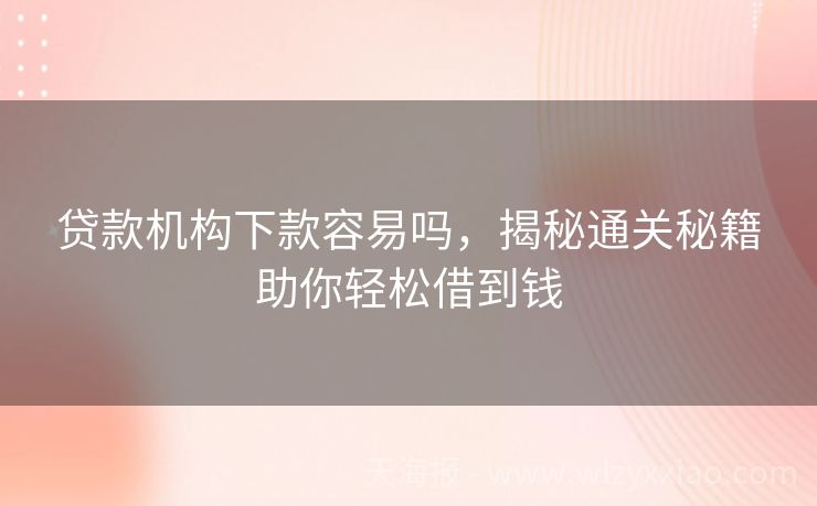 贷款机构下款容易吗，揭秘通关秘籍助你轻松借到钱