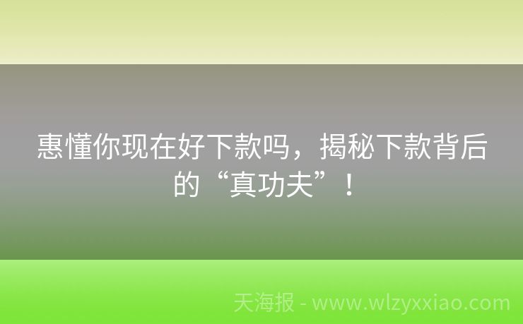 惠懂你现在好下款吗，揭秘下款背后的“真功夫”！