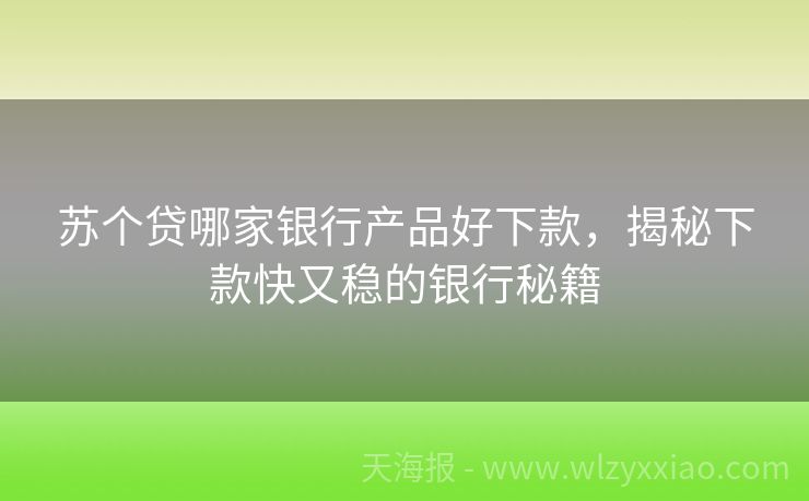 苏个贷哪家银行产品好下款，揭秘下款快又稳的银行秘籍