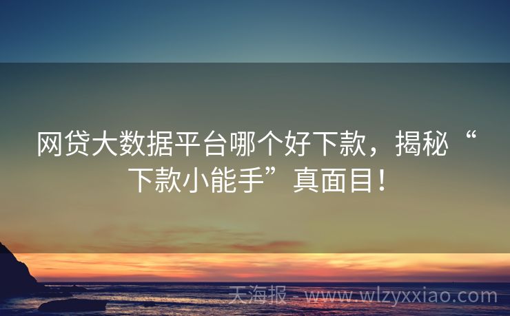 网贷大数据平台哪个好下款，揭秘“下款小能手”真面目！