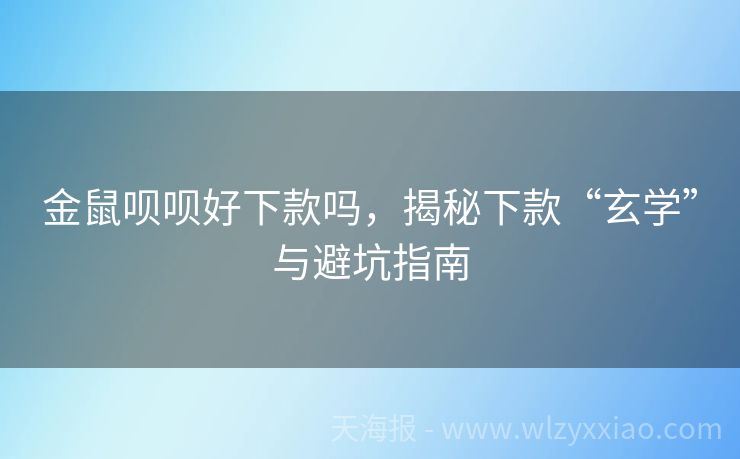 金鼠呗呗好下款吗，揭秘下款“玄学”与避坑指南