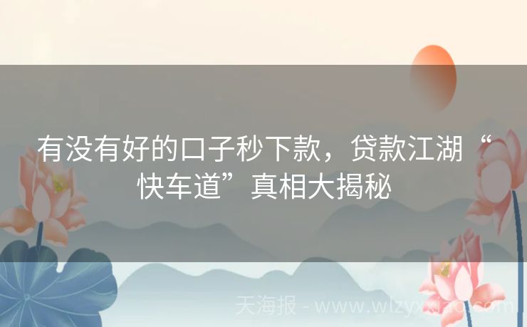 有没有好的口子秒下款，贷款江湖“快车道”真相大揭秘