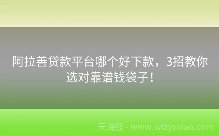 阿拉善贷款平台哪个好下款，3招教你选对靠谱钱袋子！