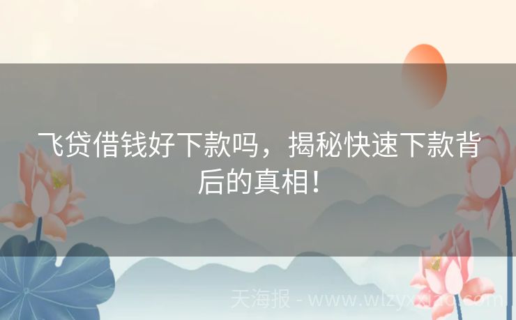 飞贷借钱好下款吗，揭秘快速下款背后的真相！