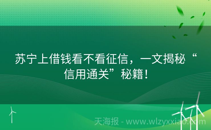 苏宁上借钱看不看征信，一文揭秘“信用通关”秘籍！
