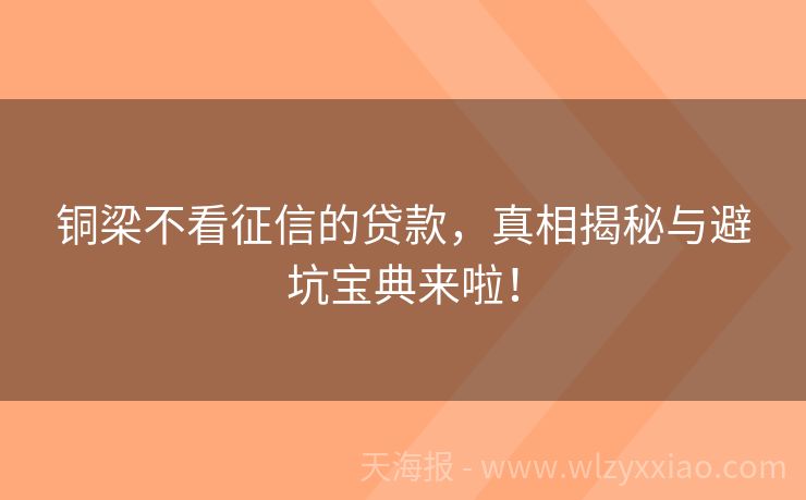 铜梁不看征信的贷款，真相揭秘与避坑宝典来啦！