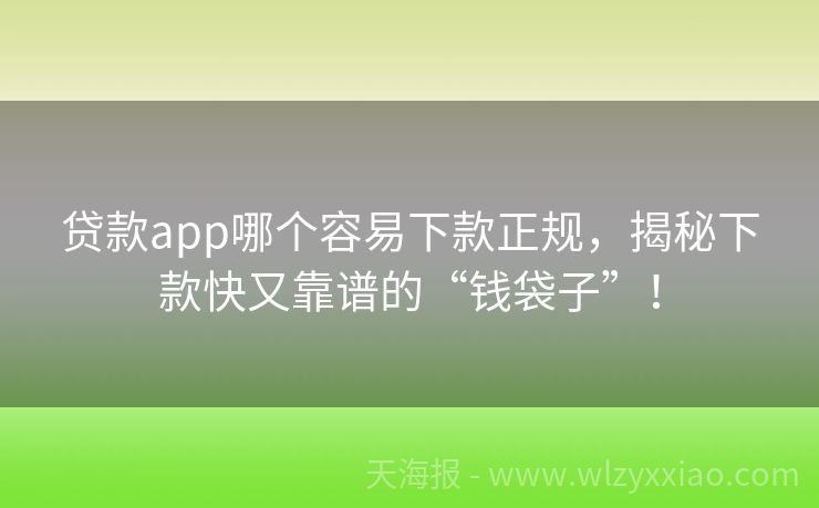 贷款app哪个容易下款正规，揭秘下款快又靠谱的“钱袋子”！