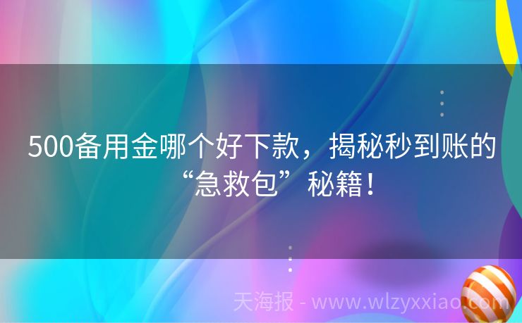 500备用金哪个好下款，揭秘秒到账的“急救包”秘籍！