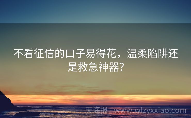 不看征信的口子易得花，温柔陷阱还是救急神器？