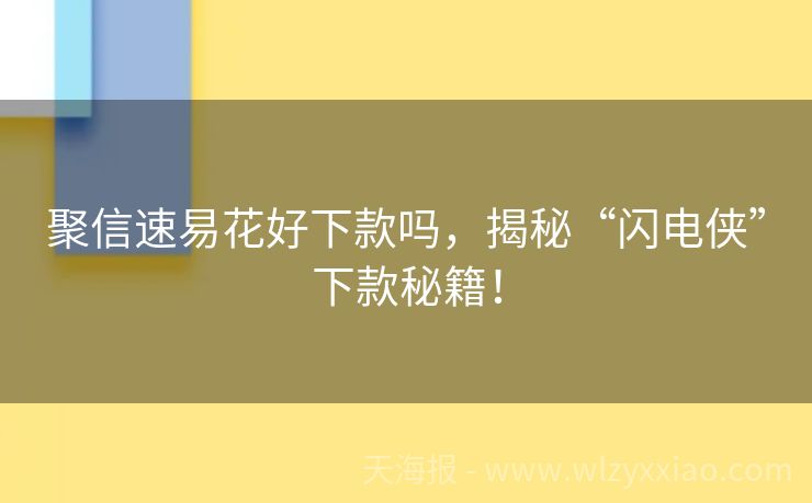 聚信速易花好下款吗，揭秘“闪电侠”下款秘籍！