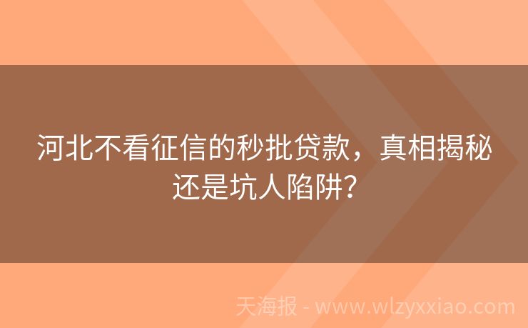 河北不看征信的秒批贷款，真相揭秘还是坑人陷阱？
