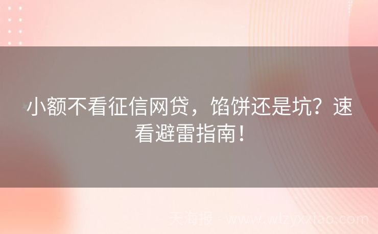 小额不看征信网贷，馅饼还是坑？速看避雷指南！