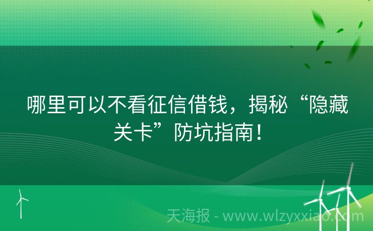 哪里可以不看征信借钱，揭秘“隐藏关卡”防坑指南！