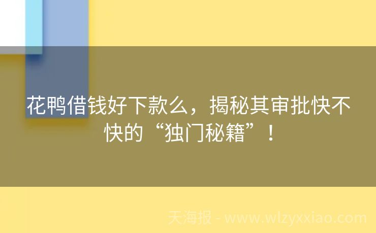 花鸭借钱好下款么，揭秘其审批快不快的“独门秘籍”！