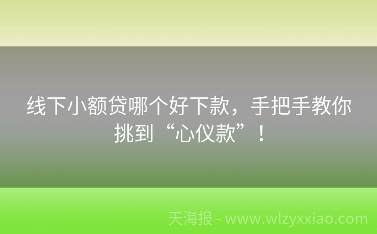 线下小额贷哪个好下款，手把手教你挑到“心仪款”！