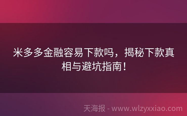 米多多金融容易下款吗，揭秘下款真相与避坑指南！