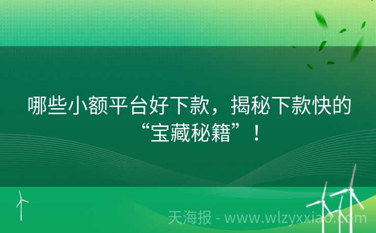 哪些小额平台好下款，揭秘下款快的“宝藏秘籍”！