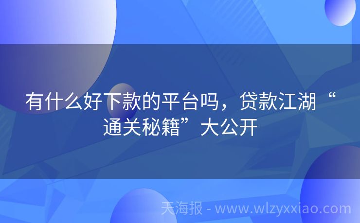 有什么好下款的平台吗，贷款江湖“通关秘籍”大公开