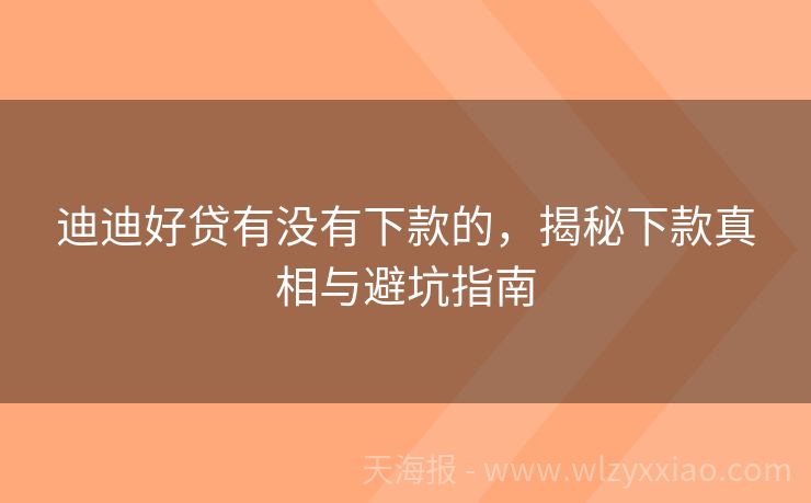 迪迪好贷有没有下款的，揭秘下款真相与避坑指南