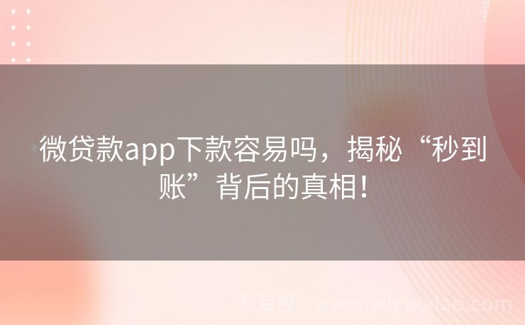 微贷款app下款容易吗，揭秘“秒到账”背后的真相！