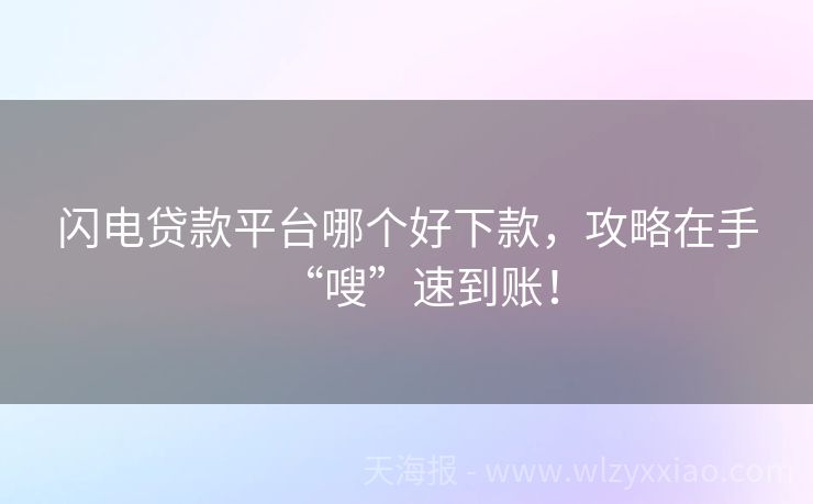 闪电贷款平台哪个好下款，攻略在手“嗖”速到账！