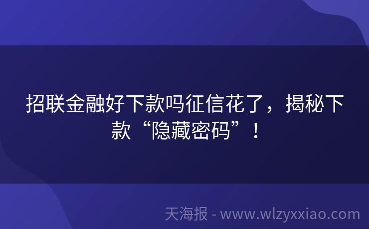 招联金融好下款吗征信花了，揭秘下款“隐藏密码”！