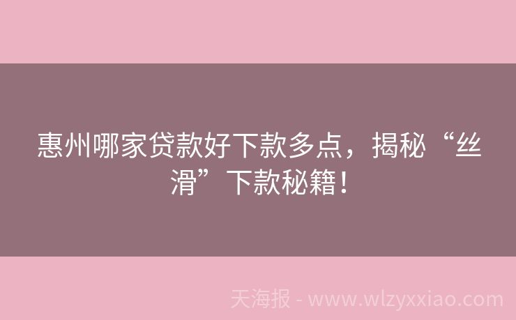 惠州哪家贷款好下款多点，揭秘“丝滑”下款秘籍！