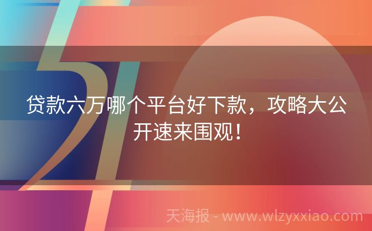 贷款六万哪个平台好下款，攻略大公开速来围观！