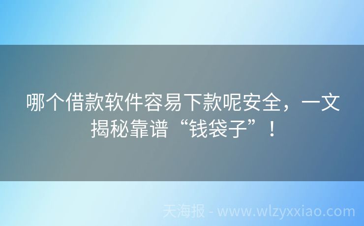 哪个借款软件容易下款呢安全，一文揭秘靠谱“钱袋子”！