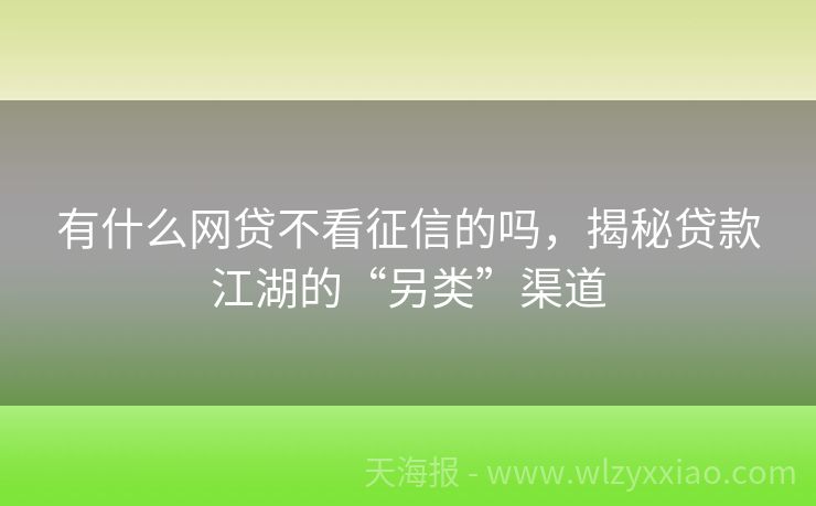 有什么网贷不看征信的吗，揭秘贷款江湖的“另类”渠道