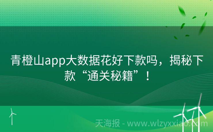 青橙山app大数据花好下款吗，揭秘下款“通关秘籍”！