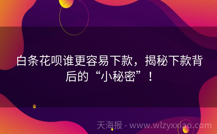 白条花呗谁更容易下款，揭秘下款背后的“小秘密”！