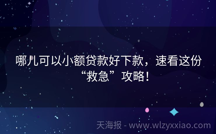 哪儿可以小额贷款好下款，速看这份“救急”攻略！