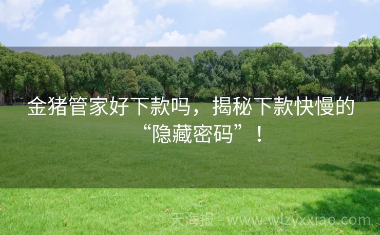 金猪管家好下款吗，揭秘下款快慢的“隐藏密码”！