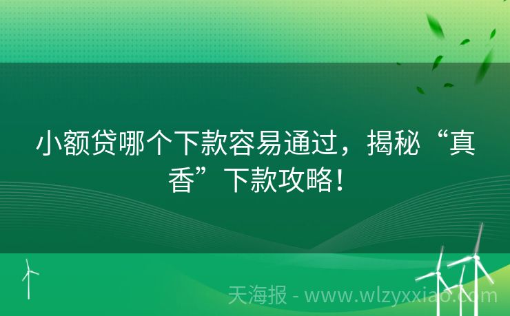 小额贷哪个下款容易通过，揭秘“真香”下款攻略！