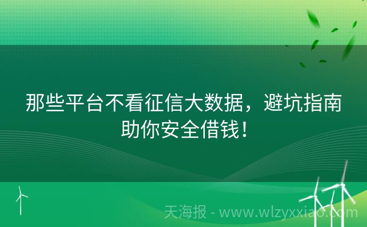 那些平台不看征信大数据，避坑指南助你安全借钱！