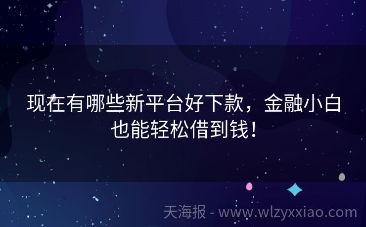 现在有哪些新平台好下款，金融小白也能轻松借到钱！
